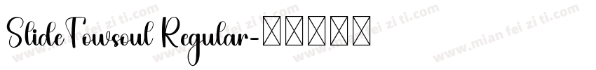 SlideTowsoul Regular字体转换